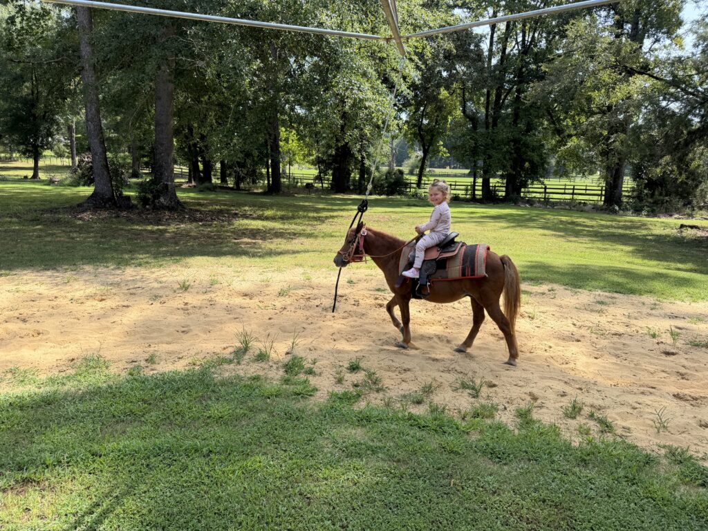 Child riding a sorrel horse at Short Creek Farm in Montevallo, Alabama